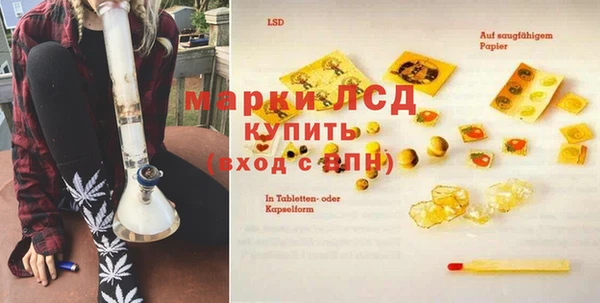 дживик Новозыбков