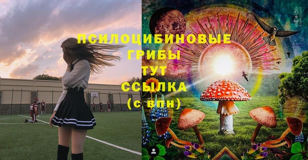 прущие крисы Алзамай
